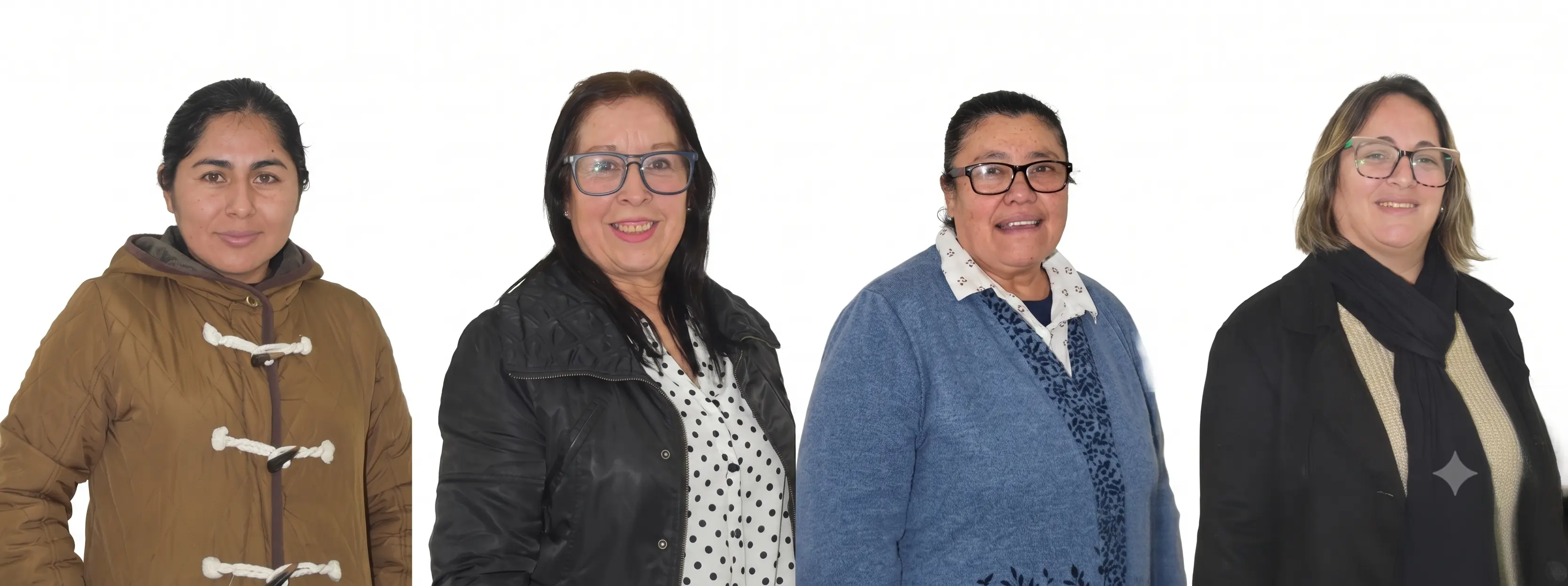 Comité de Sociales